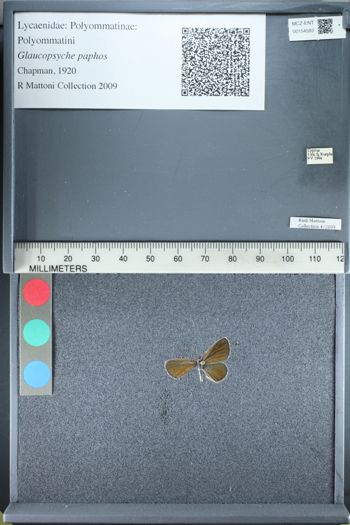 Media type: image;   Entomology 154583